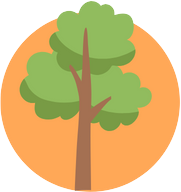 Ein stilisiertes, rundes Symbol mit einem Baum in der Mitte, das auf einem transparenten Hintergrund platziert ist.