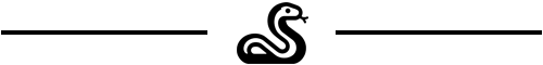 Ein Python-Symbol auf einem schwarz-weißen Schachbrettmuster als Trennelement.